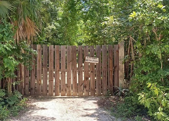 Selva Ha