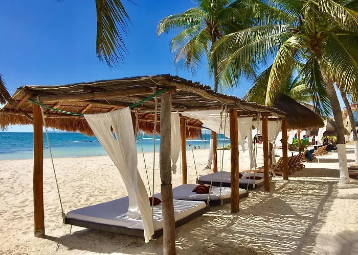 Caribbean Apartment