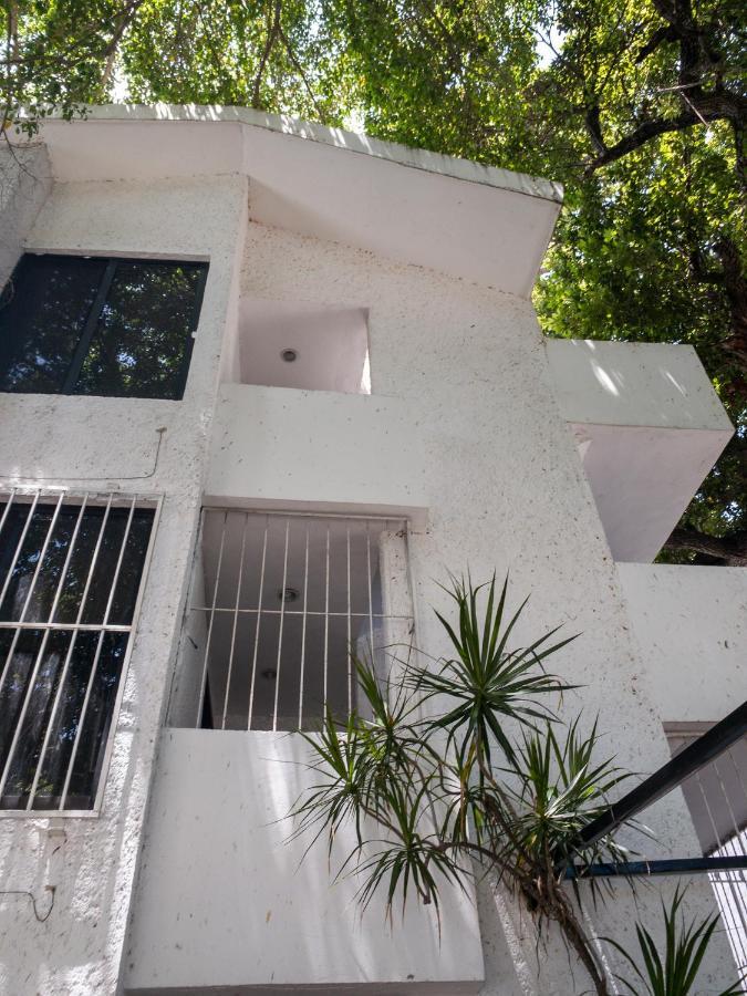 Casa Moreletii *