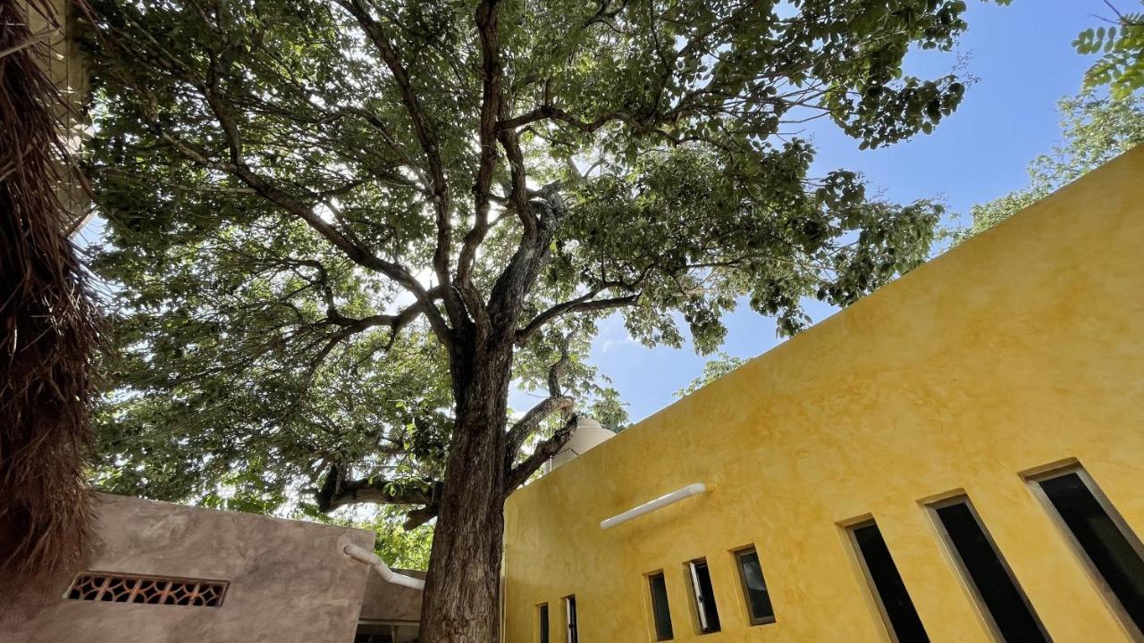 La Luz