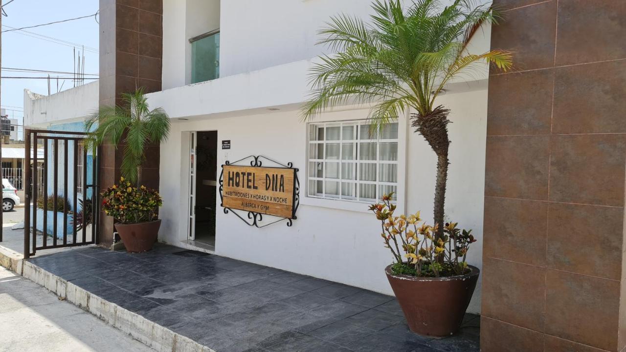 Dna Y Apartahotel
