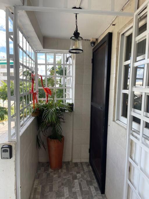 Departamento Pina / Mkt-mercado 28 / 3 Recamaras-rooms Apartamento *