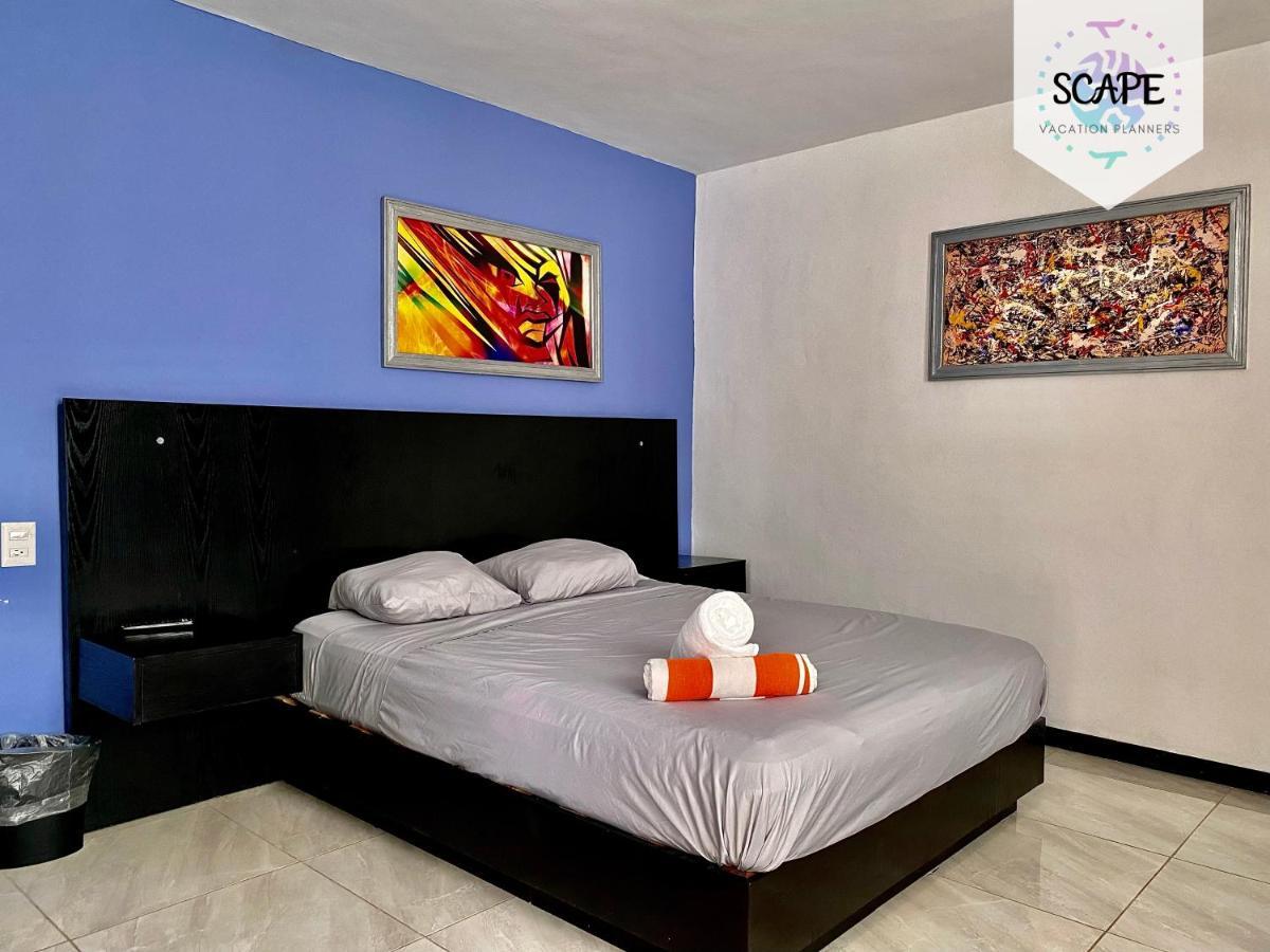 Apartamento Calidos Y Amplios Estudios Con Alberca En El Centro De