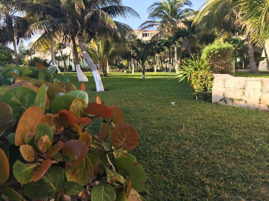 Solymar Studio #3507, Kilometro 18,7 Boulevard Kukulcan, Access To Cancun's Apartamento *