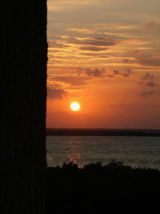 Solymar Studio #3507, Kilometro 18,7 Boulevard Kukulcan, Access To Cancun's * Cancún