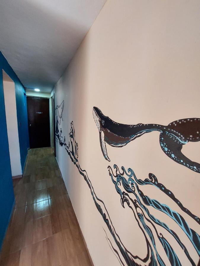 Venado 28 Cancún