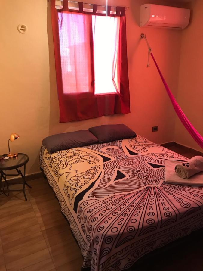 Hostal Venado 28