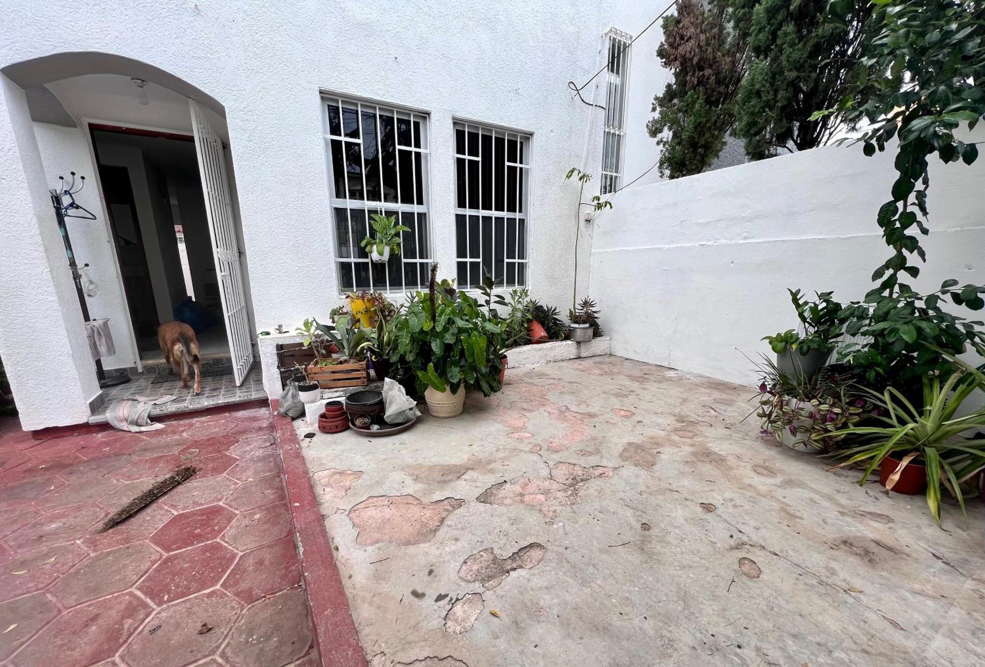 Plant & Paws 2 Habitación en casa particular Cancún