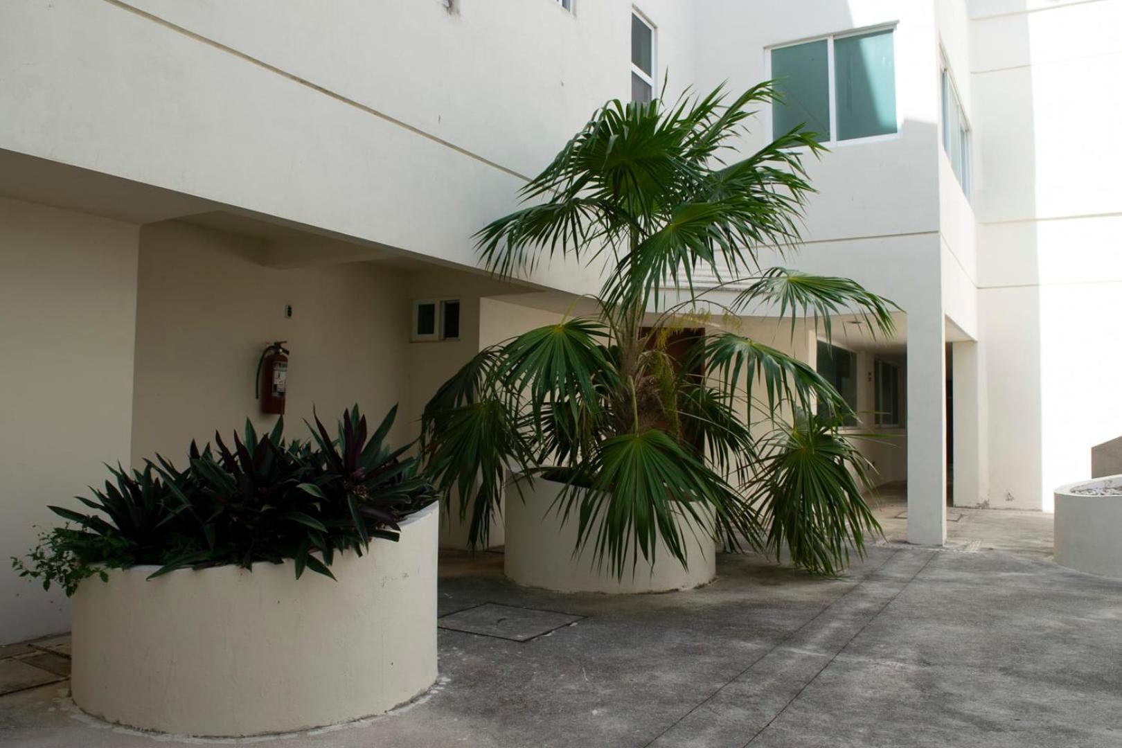 New Oasis Sunsets & Comfort Near The Beach Apartamento Cancún