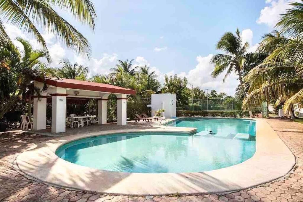 Beachfrontsven Svenjovic At Y Ahoo C Om Cancún