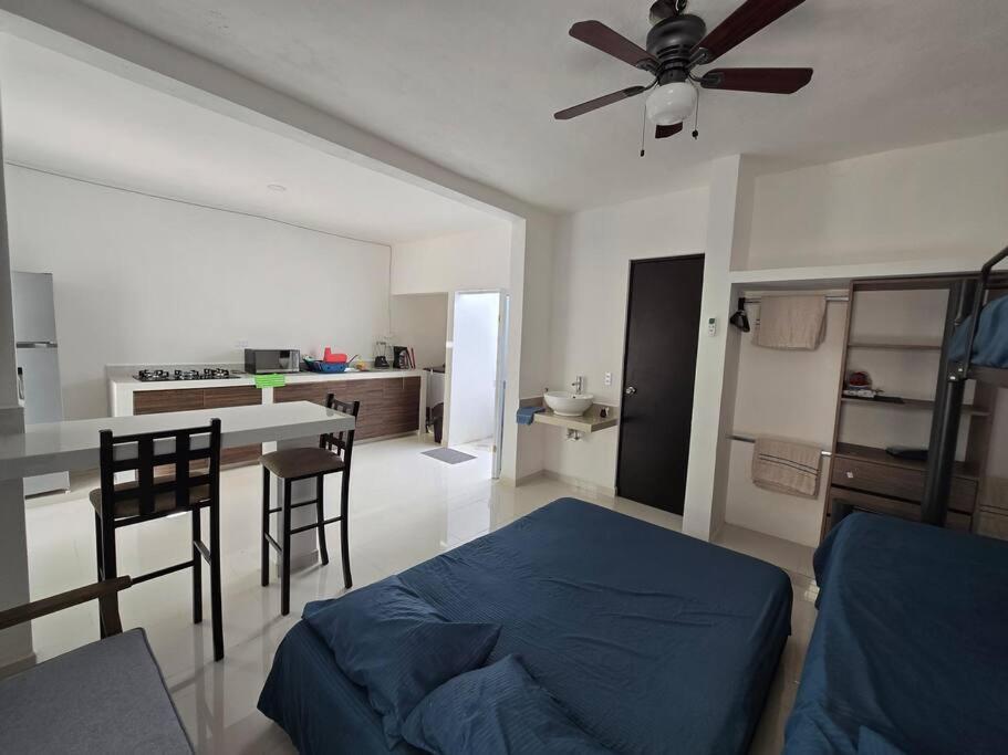 Excelente Estudio En El Centro Apartamento