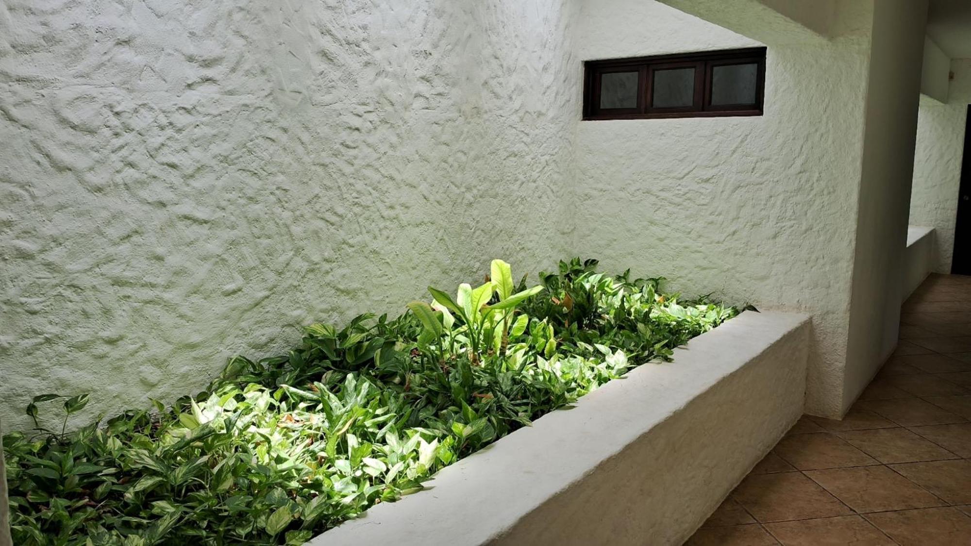 La Casa Caribeña Habitación en casa particular