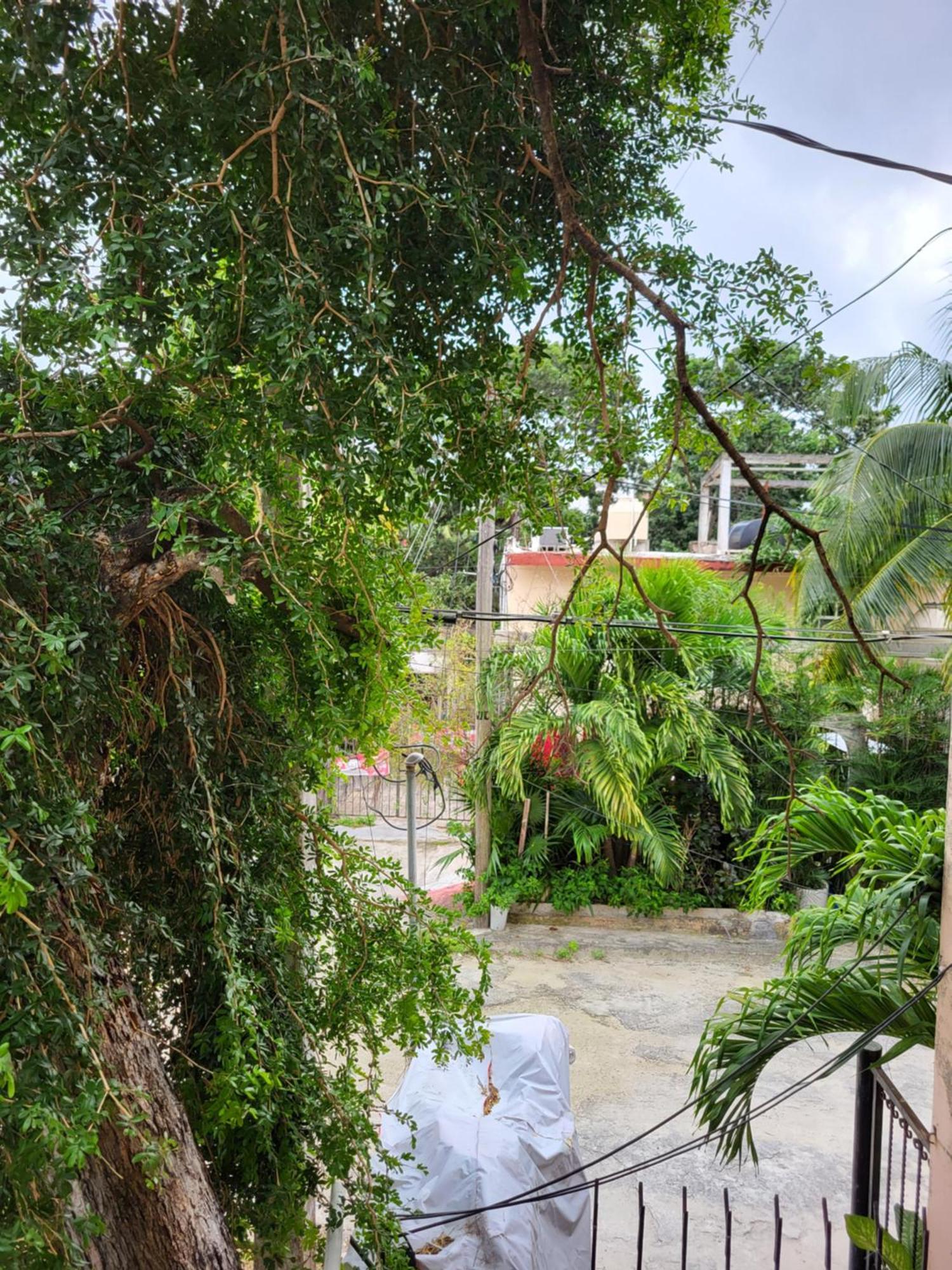 Apartamento Rentas Palrey *
