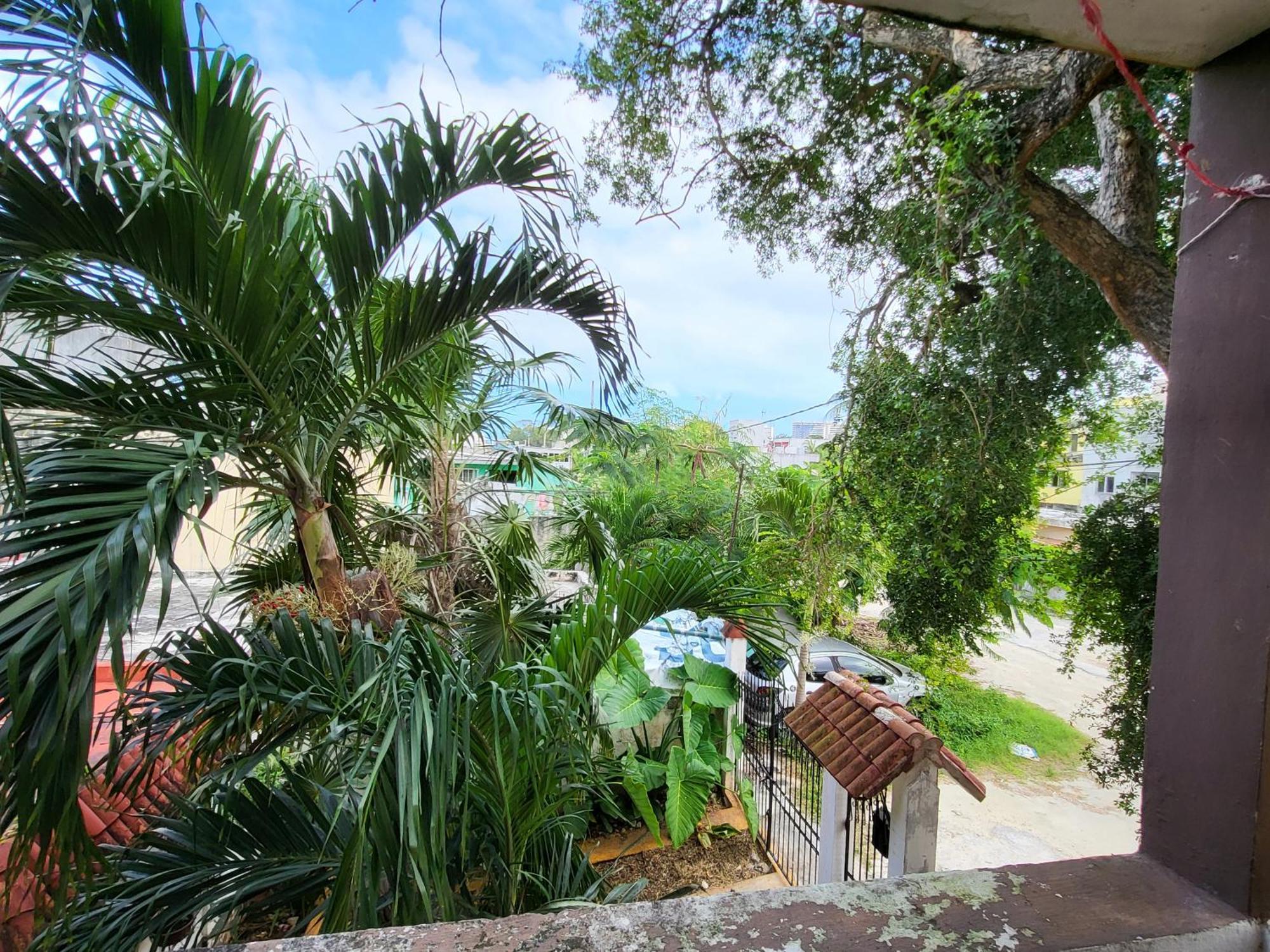 Rentas Palrey Apartamento *