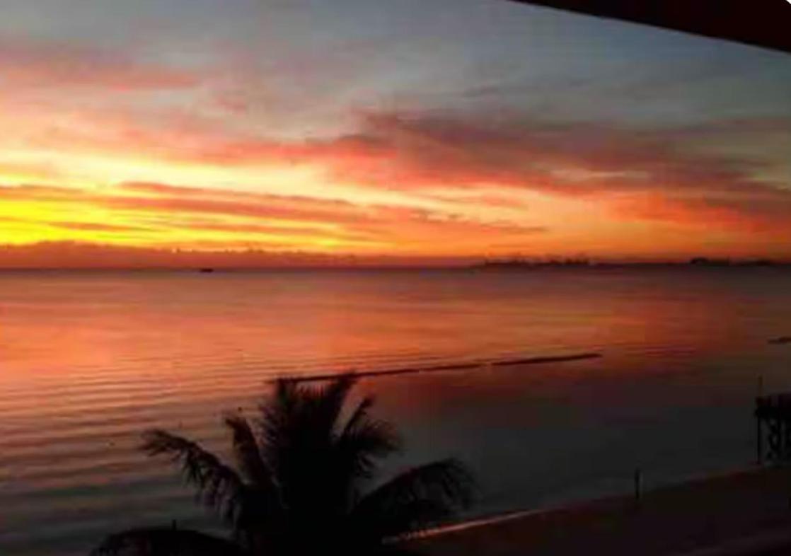 Caribbean Apartamento *