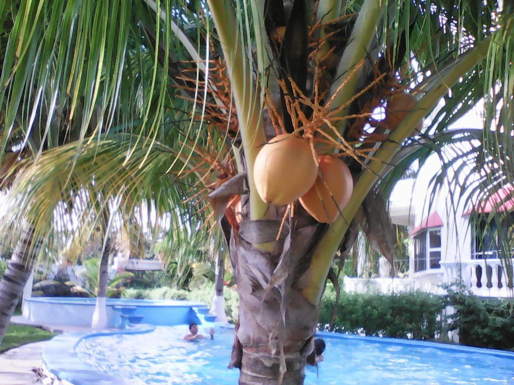 Mansion Giahn Bed and breakfast Cancún