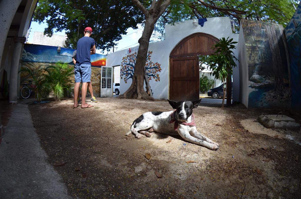 Ka Beh Hostel Cancun