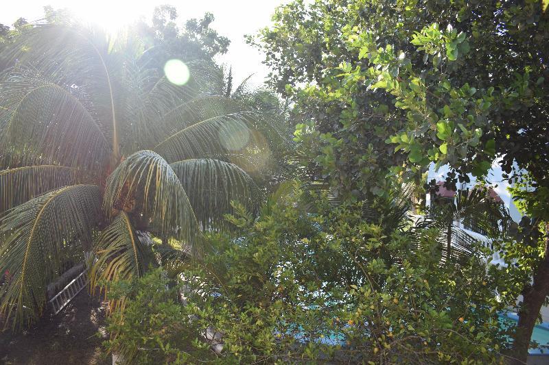 Mansion Giahn Bed and breakfast Cancún