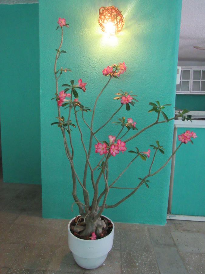 Casa Flores * Cancún