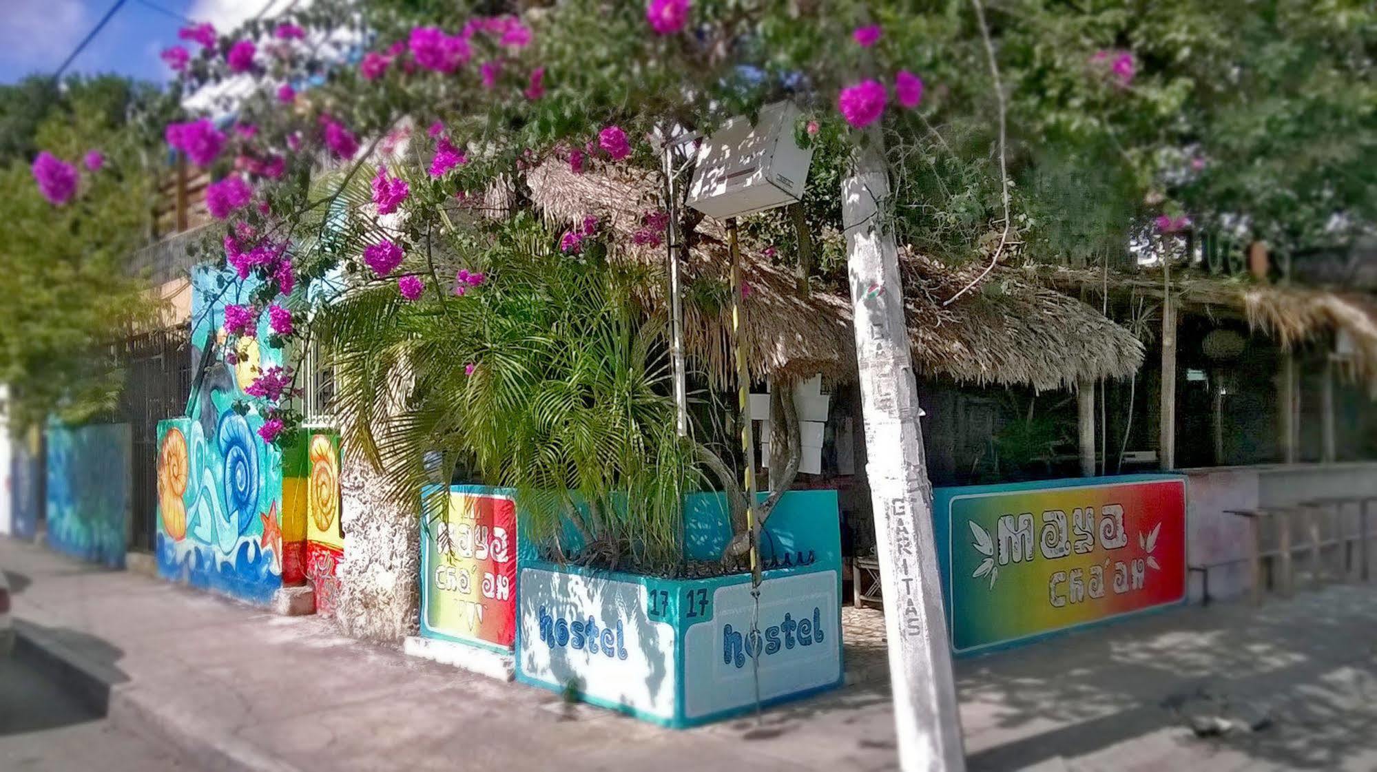 Hotel Mayan