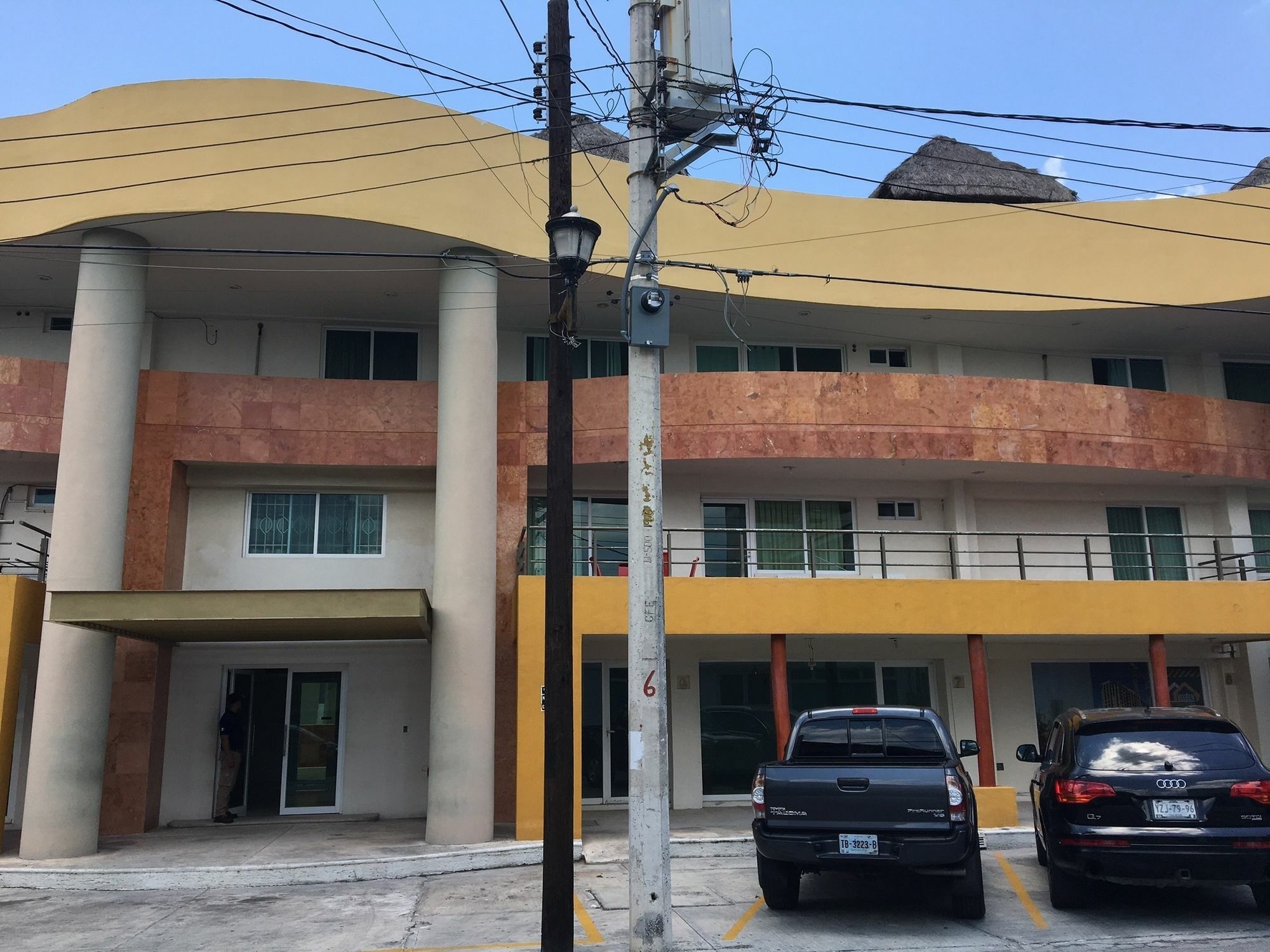 Crisantemos * Cancún