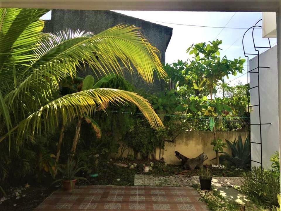 Margaritas Cancun