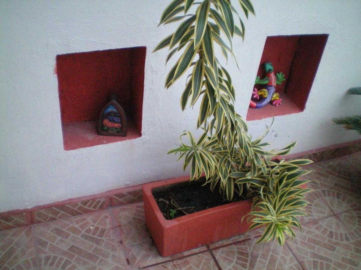 Pensión 3 Near Ado Bus Terminal And 25 Min From/to Airport By Shuttle