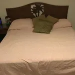 Experiencia Holística