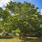 Finca Tuch