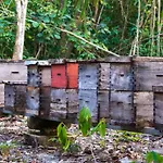 Finca Tuch
