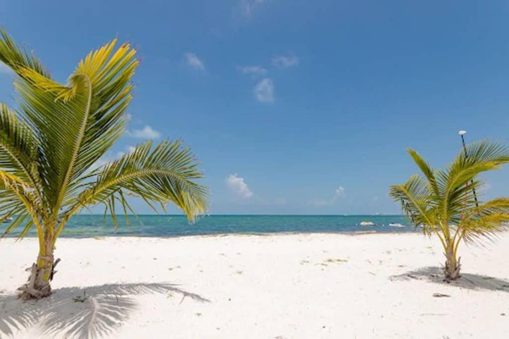Amara Beachfront Caribe R Cancún