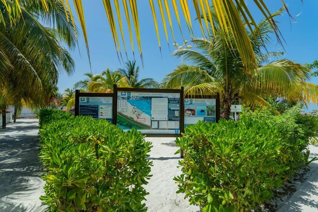 Apartamento Amara Beachfront Caribe R *