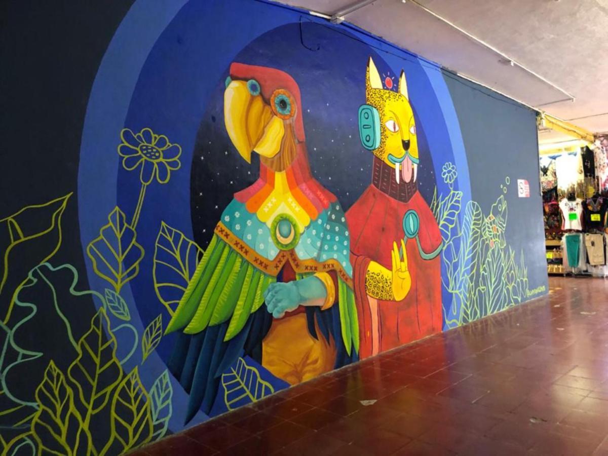 Hostel Piñata Hostal *
