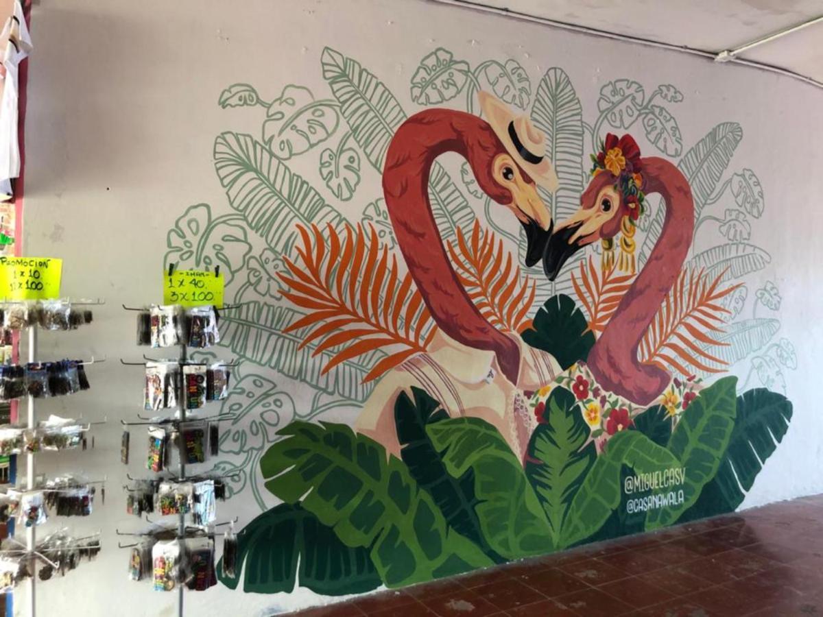 Hostal Hostel Piñata Cancún