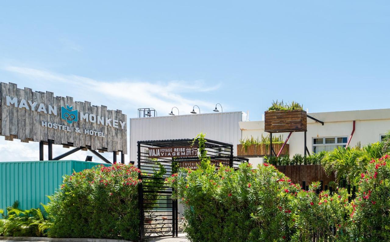 Mayan Monkey - Social (adults Only)