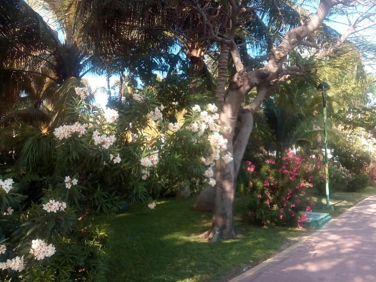 Guest house Arena Zone *