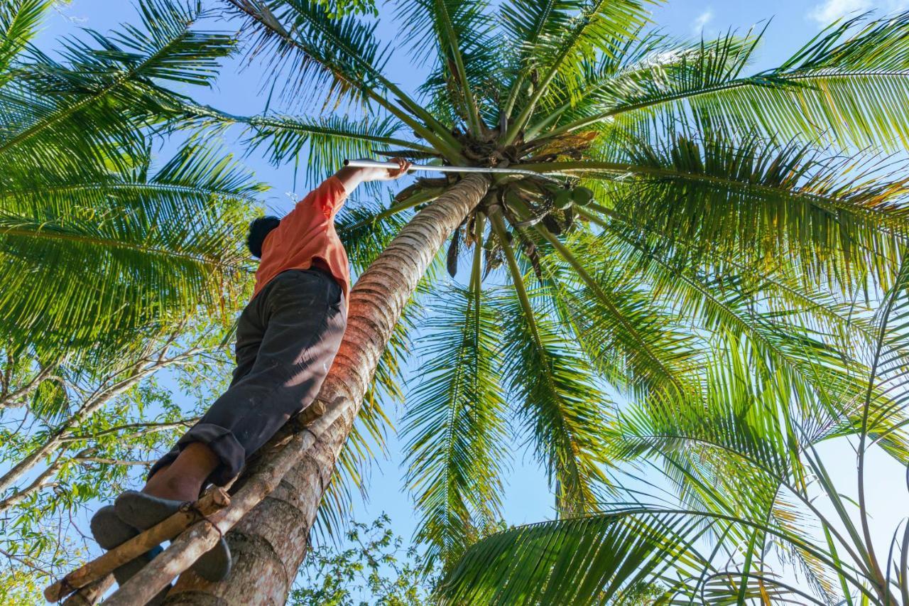 Finca Tuch Camping Cancún