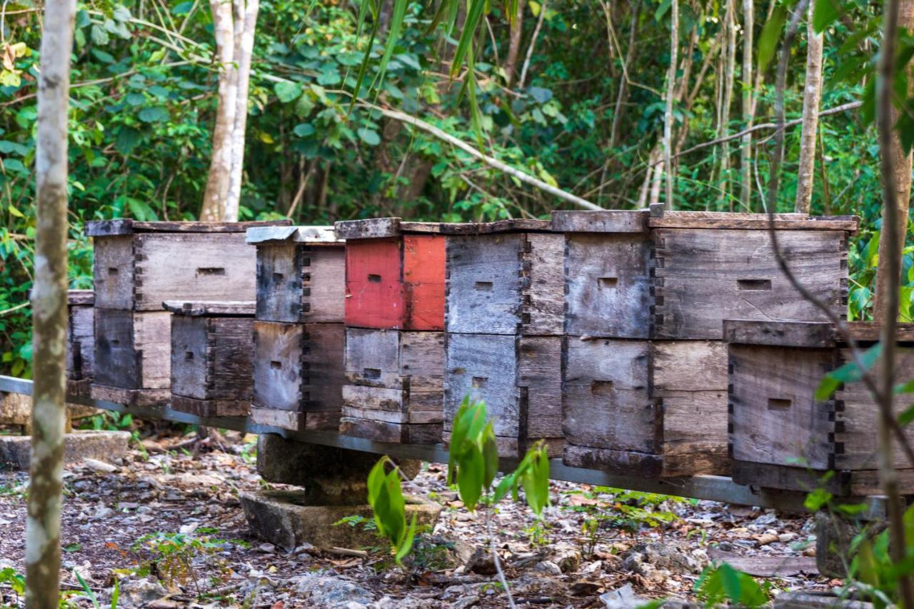 Finca Tuch *