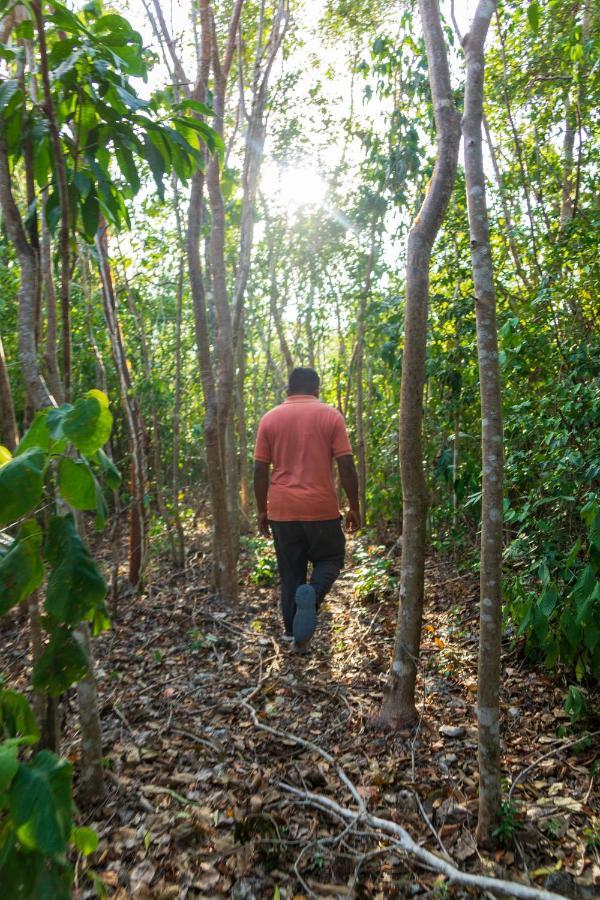 Finca Tuch Cancún
