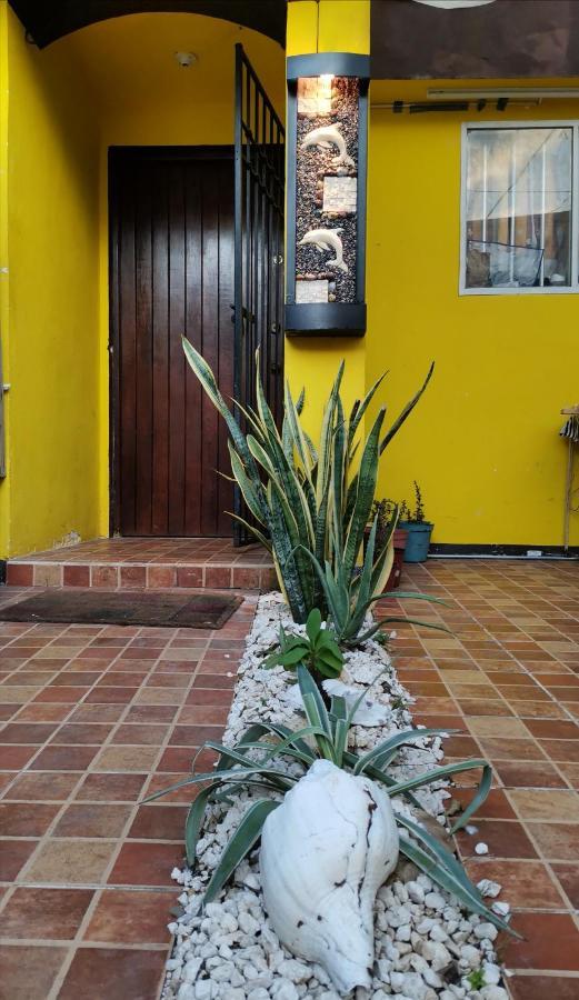 Apartamento Casa Tortuga En Cancún