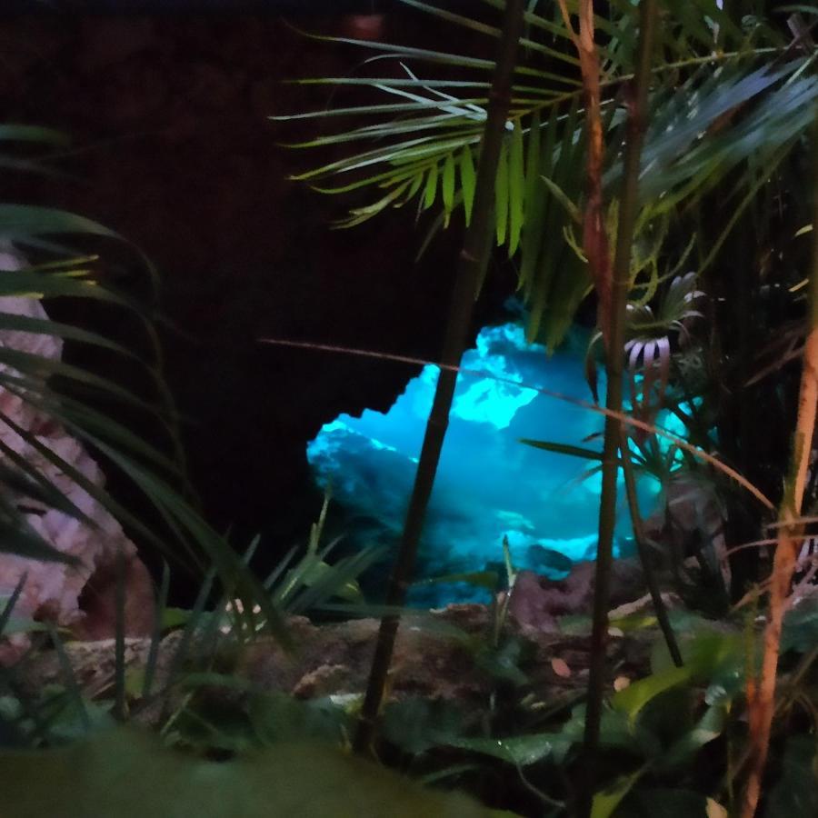 Azcapri Villa Boutique & Spa #2 Delfin Homestay Cancun