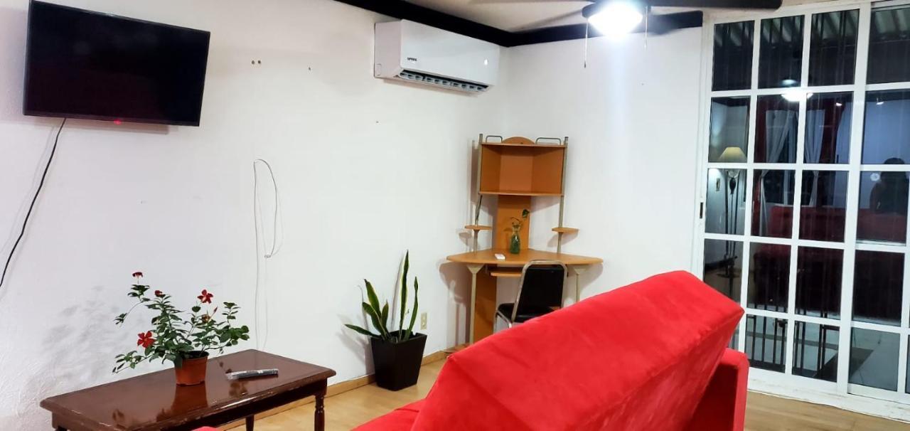 Apartment Zely #2