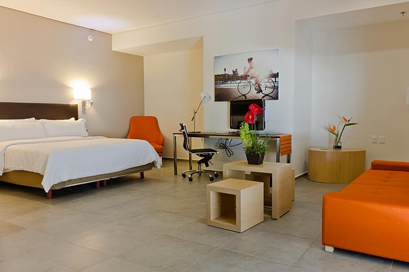 Hotel Fiesta Americas