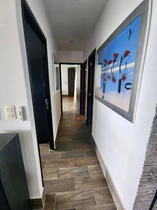 •amazing Beachfront Condo• Apartamento *