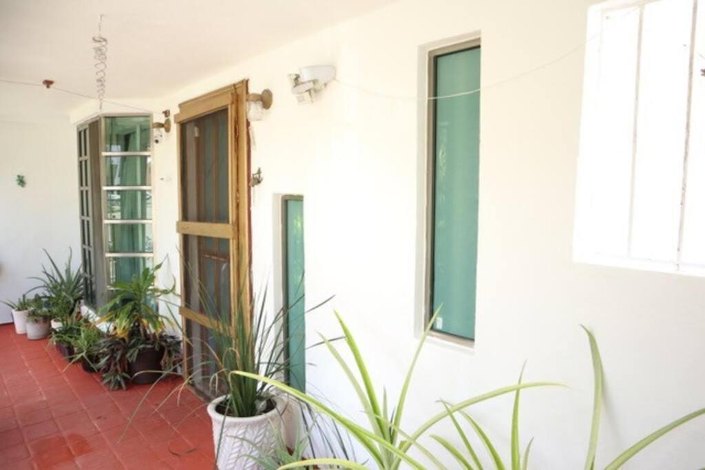 Casa En El Centro Selva De Corazones Cancún