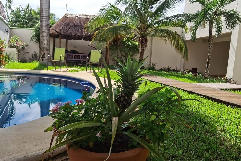 Сasa de vacaciones House Completely Furnished Total Privacy 8pax Cancún