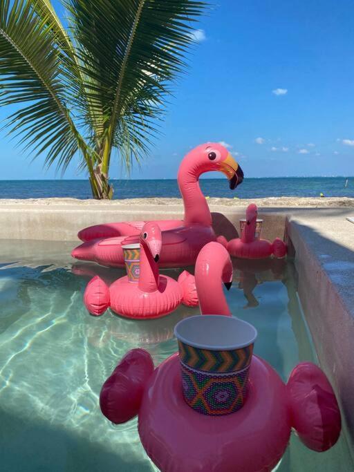 Beachfrontsven Svenjovic At Y Ahoo C Om