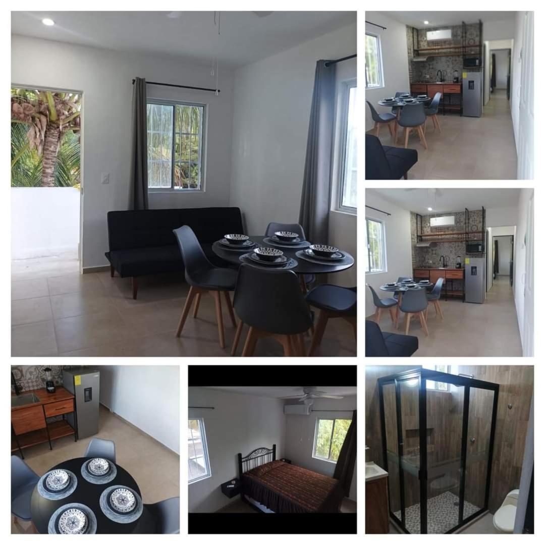 La Casa De Palmeras *