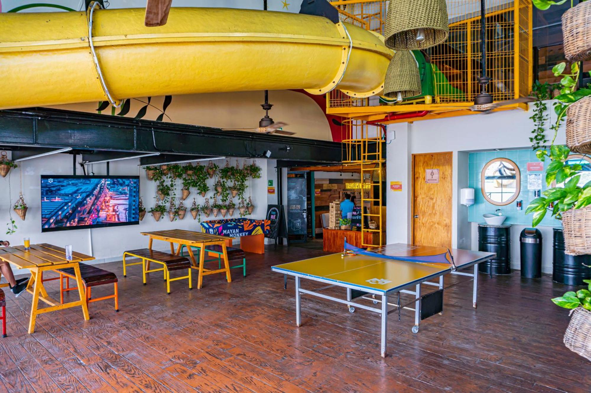 Hostal Mayan Monkey - Social (adults Only) *