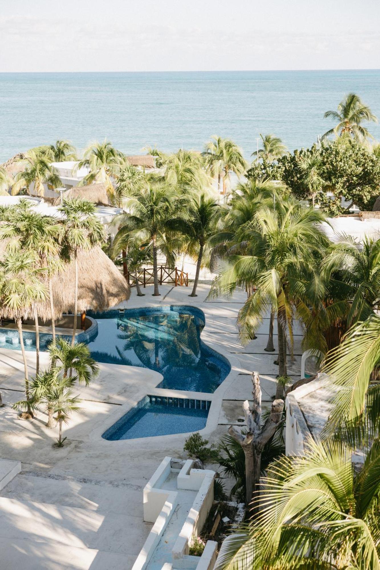 Ocean Bliss Retreat Entire Private Beachfront With 4